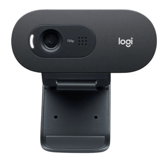 Webcam Logitech C505 HD - 1