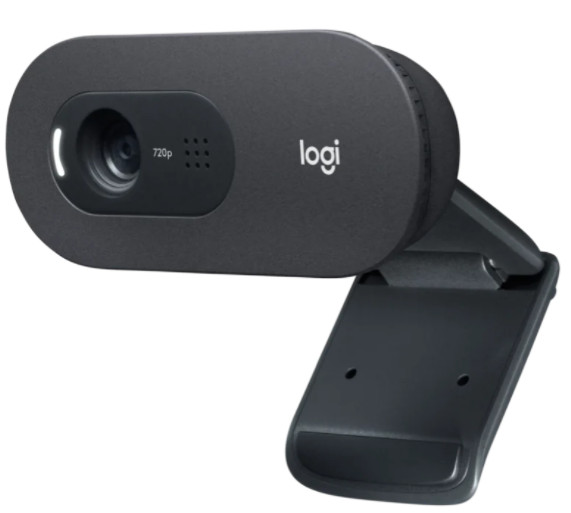 Webcam Logitech C505 HD - 2