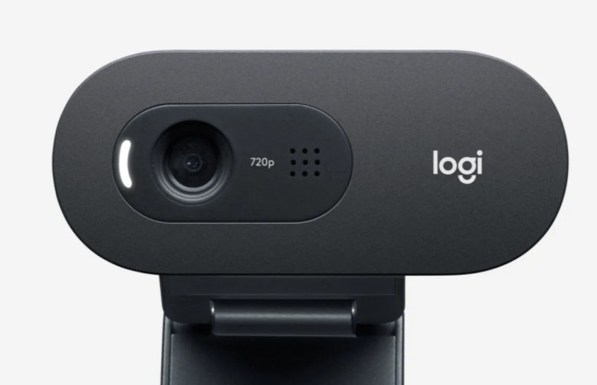 Webcam Logitech C505 HD - 3